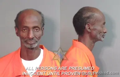 Mugshot of Lloyd Stephens