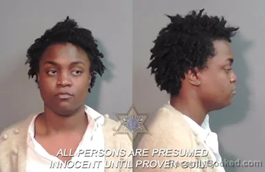 Mugshot of Wynnifred Lashawn Sanders