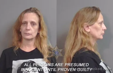 Mugshot of Sandy Kay Stockmon