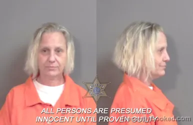 Mugshot of Micah Michelle Cameron