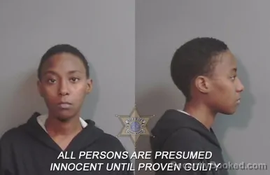 Mugshot of Jameya Leson Brown