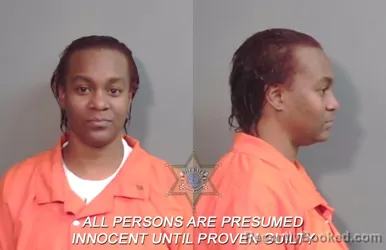 Mugshot of Jackquenette Lachette Hopkins