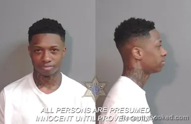 Mugshot of Al Jewel Myles