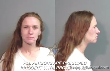 Mugshot of Tyler Danielle Sanford