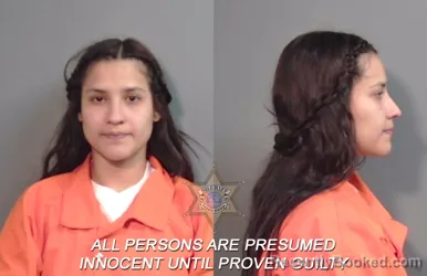 Mugshot of Kariolys Mirena Londono-duno