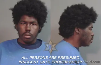 Mugshot of Gregory Deshawn George