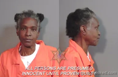 Mugshot of Sarah Elizabeth Housley booked in Caddo County, Louisiana on March 18, 2026