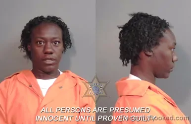 Mugshot of Raven Mona' Young booked in Caddo County, Louisiana on March 19, 2026