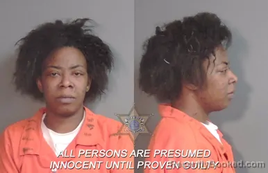 Mugshot of Kim Williams booked in Caddo County, Louisiana on March 20, 2026