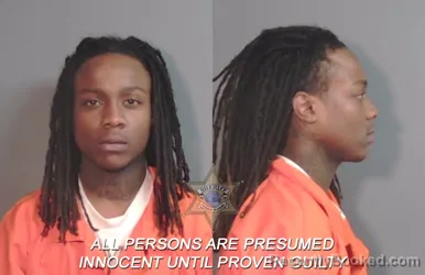 Mugshot of Demontrell Aliajay Scott booked in Caddo County, Louisiana on March 24, 2026