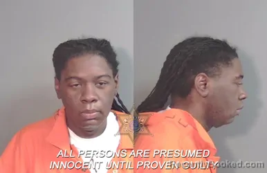 Mugshot of Jamichael Dewayne Hodges booked in Caddo County, Louisiana on March 28, 2026