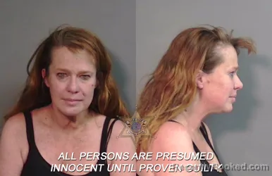 Mugshot of Laura Renee Massingill booked in Caddo County, Louisiana on April 4, 2026