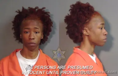 Mugshot of Georshayla Octavia Houston booked in Caddo County, Louisiana on April 5, 2026