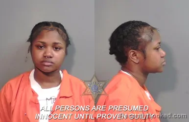 Mugshot of Haley Lorene Robinson