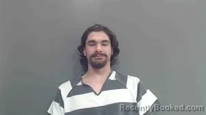 Mugshot of DRU ADRIEN BONNEAU