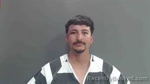 Mugshot of JAVIER MORENO
