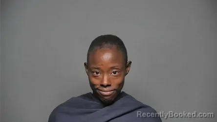 Mugshot of Denise Lashay Graham booked in Chester County, South Carolina on October 11, 2026