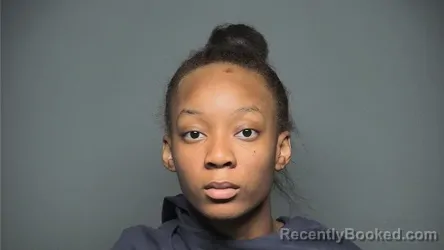 Mugshot of DANNASIA MICHELLE WILLIAMS booked in Chester County, South Carolina on July 30, 2026