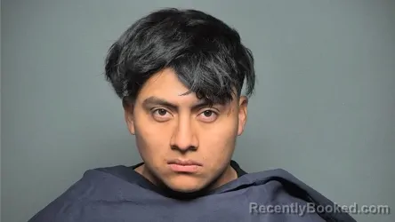 Booking photo from Chester County, South Carolina