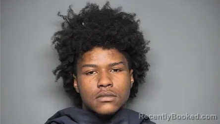 Mugshot of JAVARIOUS BACKSTROM