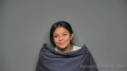 Mugshot of JESSENIA BELKIN booked in Chester County, South Carolina on July 8, 2026