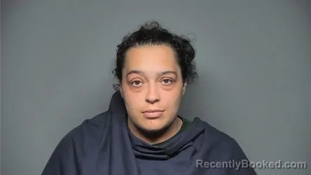 Mugshot of Kirsten Holley booked in Chester County, South Carolina on August 10, 2026