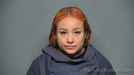 Mugshot of Larissa M Rios Folgar booked in Chester County, South Carolina on August 19, 2026