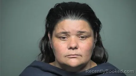 Mugshot of Laura Ann Ramsey booked in Chester County, South Carolina on August 4, 2026