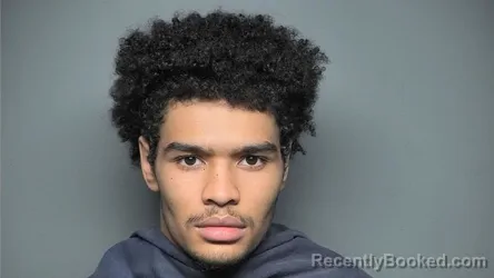 Mugshot of SHAHEIM JAMARION POSLTON