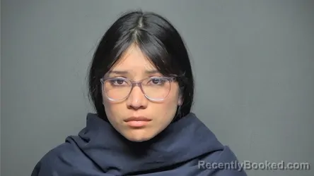 Mugshot of YADIRA OLMEDO booked in Chester County, South Carolina on April 9, 2026