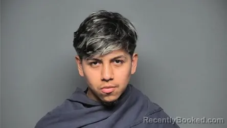 Mugshot of YORDY RODRIGO RAMIREZ-GOMEZ booked in Chester County, South Carolina on July 3, 2026