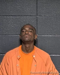 Mugshot of BRANDON HOWARD ROSS