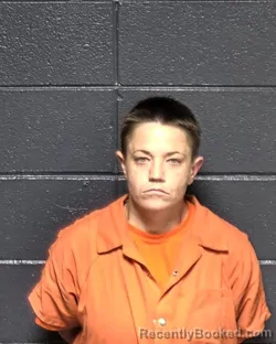Mugshot of ERICKA L HAWKINS