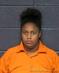 Mugshot of LAILA JOHNSON booked in DeSoto County, Louisiana on April 30, 2026