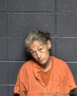 Mugshot of KARLENE HOLLAND