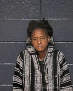 Mugshot of Fredreka Ransha Green booked in DeSoto County, Louisiana on October 23, 2026