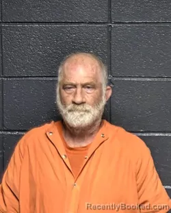 Mugshot of HENRY S STEVENS