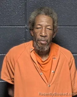 Mugshot of EDWIN R TURNER booked in DeSoto County, Louisiana on April 14, 2026