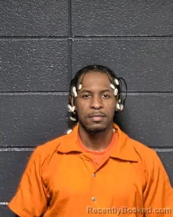 Mugshot of KEENAN E WILSON