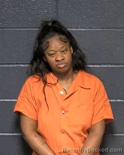 Mugshot of RAKYIA NANELL LANE booked in DeSoto County, Louisiana on April 14, 2026