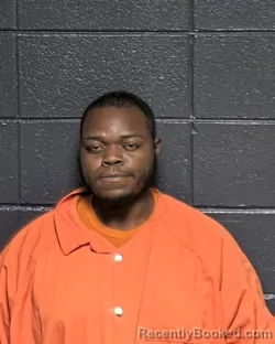 Booking photo from DeSoto Parrish, Louisiana