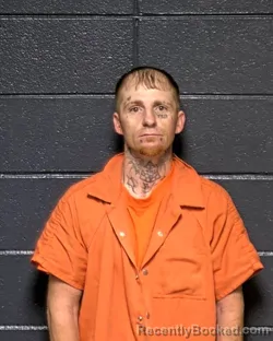 Booking photo from DeSoto Parrish, Louisiana