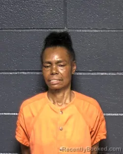 Mugshot of CARDELLA WASHINGTON PALMER