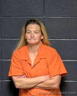 Mugshot of DEBBIE LEE ANTLEY