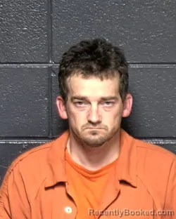 Mugshot of WESLEY C BLEVINS booked in DeSoto County, Louisiana on April 1, 2026