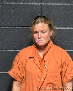 Mugshot of MERRIANNE ANDERSON