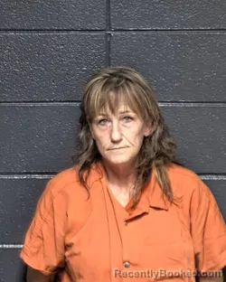 Mugshot of CONNIE CLIBURN