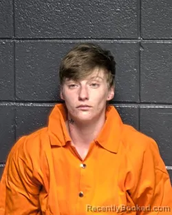 Mugshot of ALISSA MAREE FONTENOT