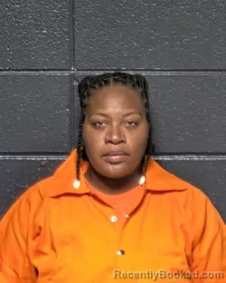 Mugshot of JESSICA LYNN VANNORMAN