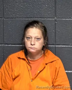 Mugshot of JENNIFER LYNN BARAJAS